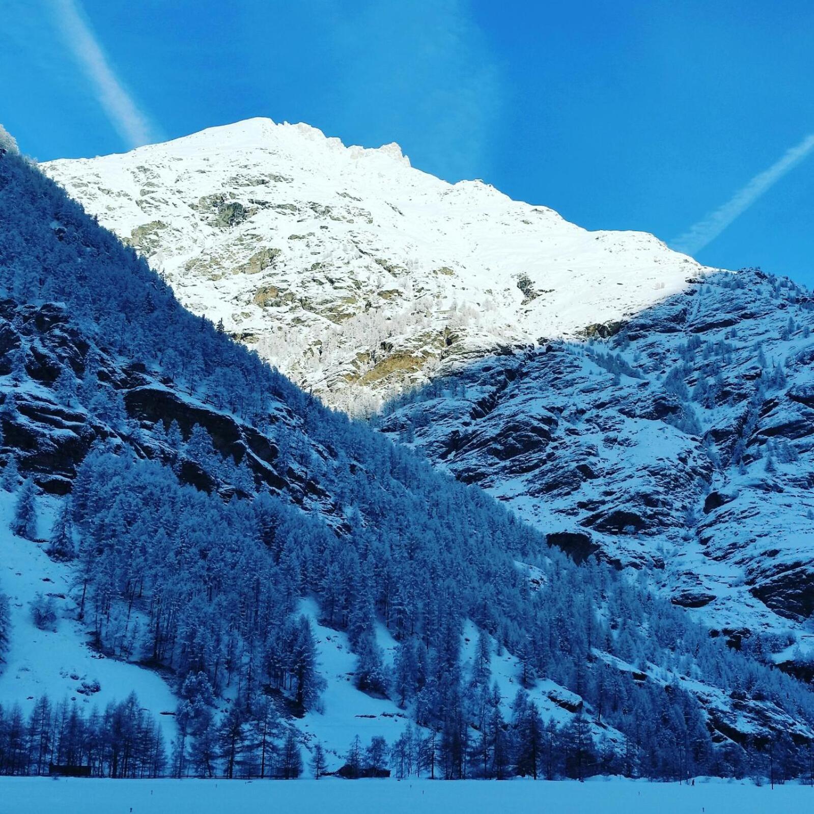 Monte Rosa Taesch, Apartments Mit Wellness Bereich Exterior photo